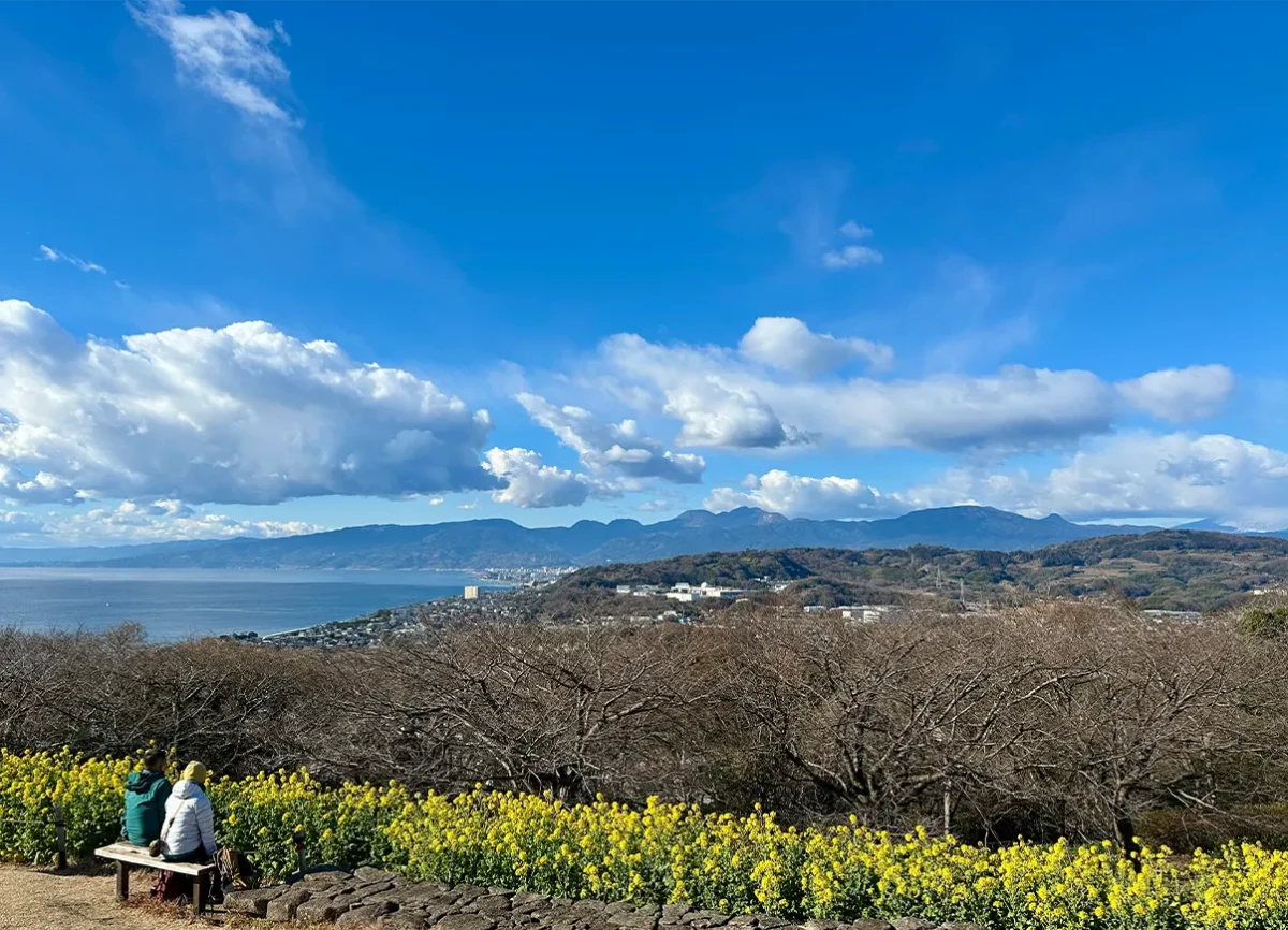 吾妻山公園の頂上からの見晴らし